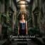 creativo 53